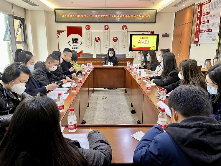 蜀道(dào)城鄉集團團委召開學習宣傳貫徹黨的(de)二十大(dà)精神暨青年講師團專題宣講會.jpg