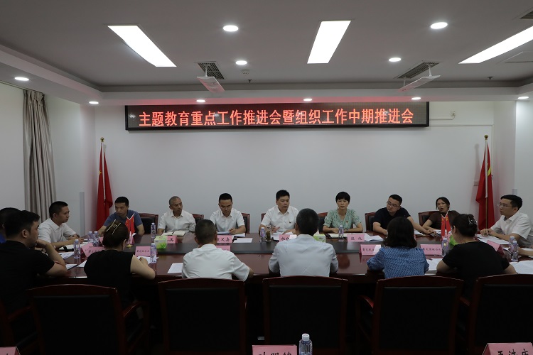 4-蜀道(dào)交通服務集團召開主題教育重點工作推進會暨組織工作中期推進會.jpg