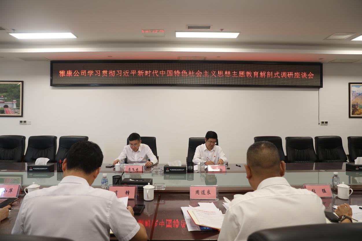 雅康公司開展學習貫徹習近平新時(shí)代中國(guó)<span class=
