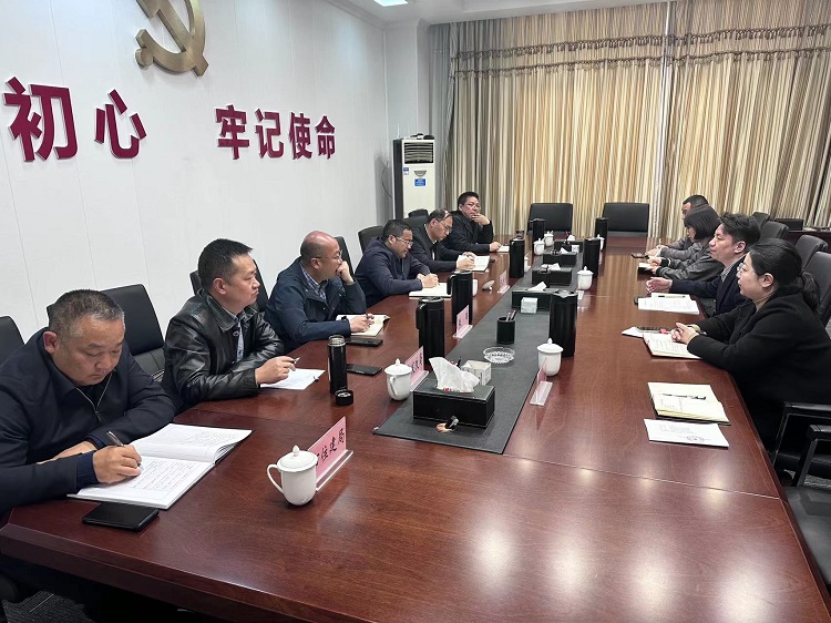 會理小鎮公司與會理市委市政府舉行座談22.jpg