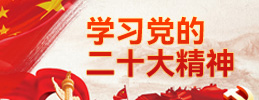 學習黨的(de)二十大(dà)精神